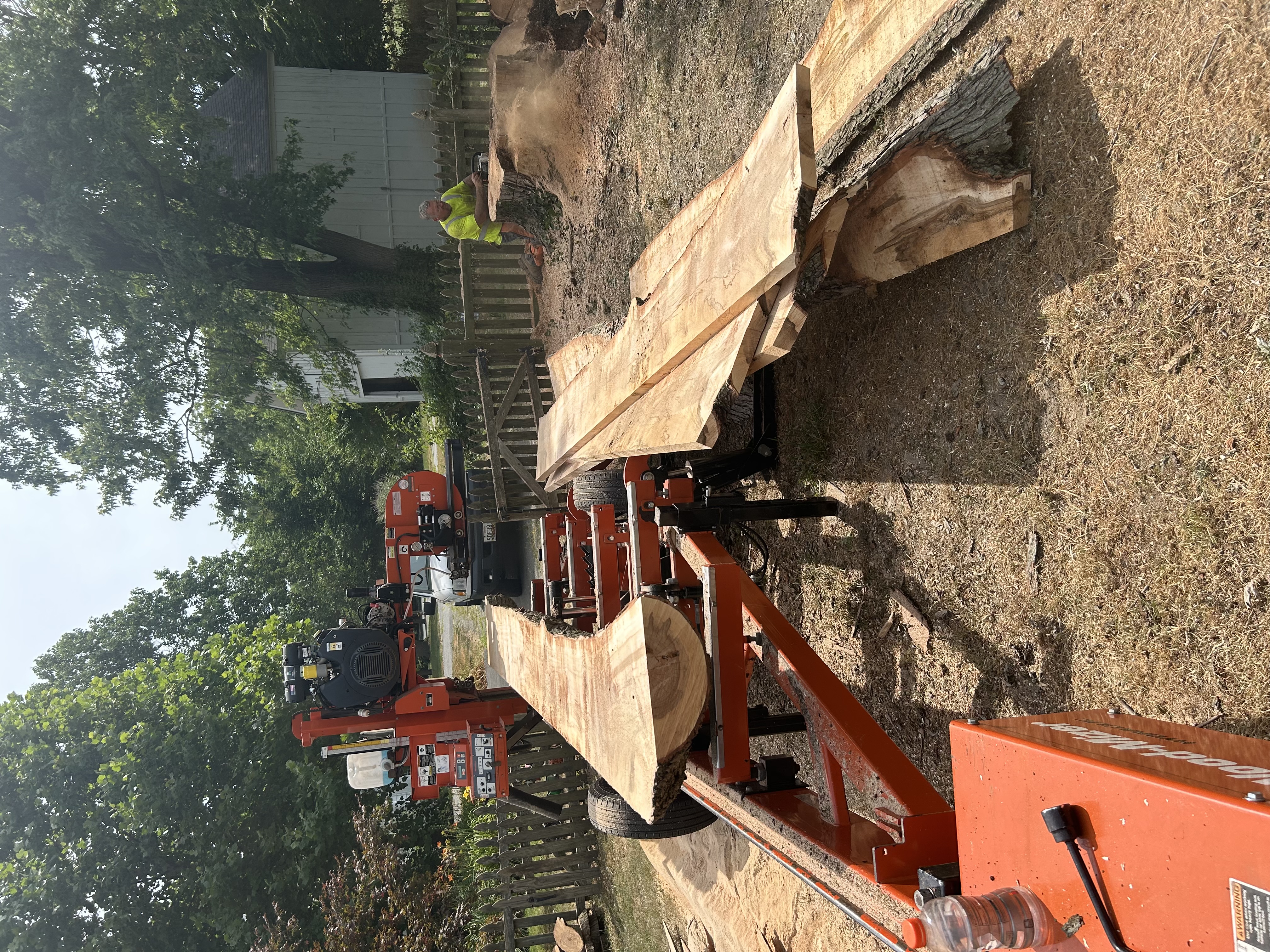 Tree Removal and Sawmill Services project in Sudlersville, MD